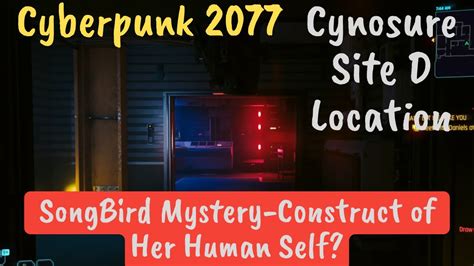 cyberpunk distribution box|cynosure site d.